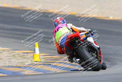 media/Mar-10-2024-SoCal Trackdays (Sun) [[6228d7c590]]/9-Turn 8 Backside (1150am)/